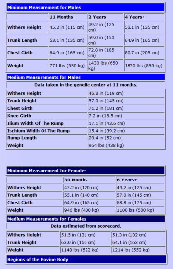 Image 3-2